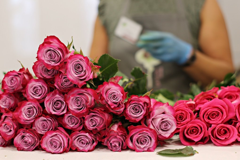 online flower company